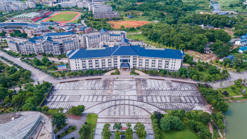 N4007二极管选购指南：如何挑选合适的型号与供应商**