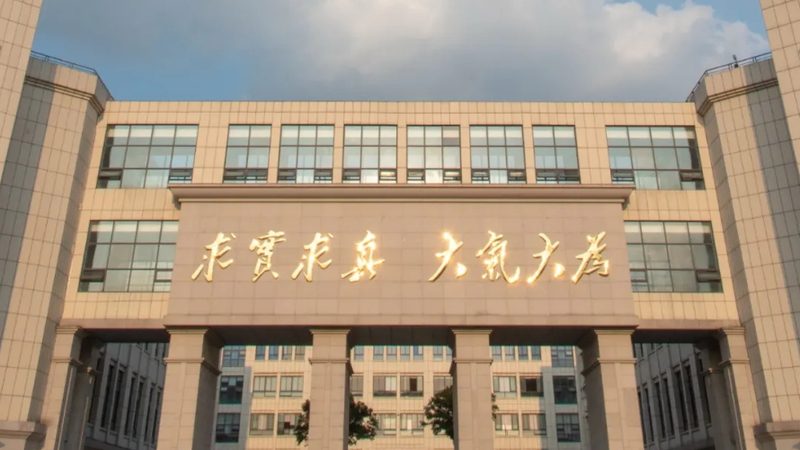 电子元器件安装图解：从入门到精通**